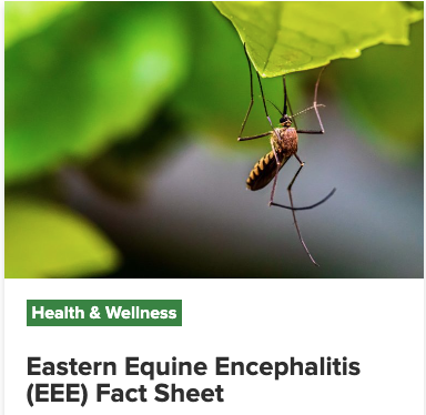 Eastern Equine Encephalitis (EEE) fact sheet