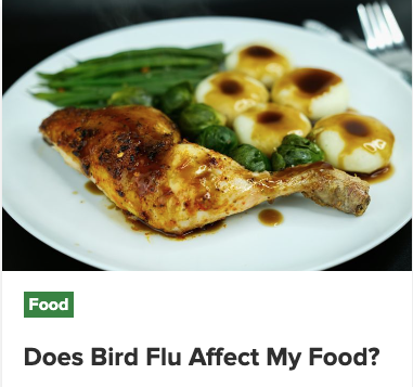 Does Bird Flu Affect My Food fact sheet