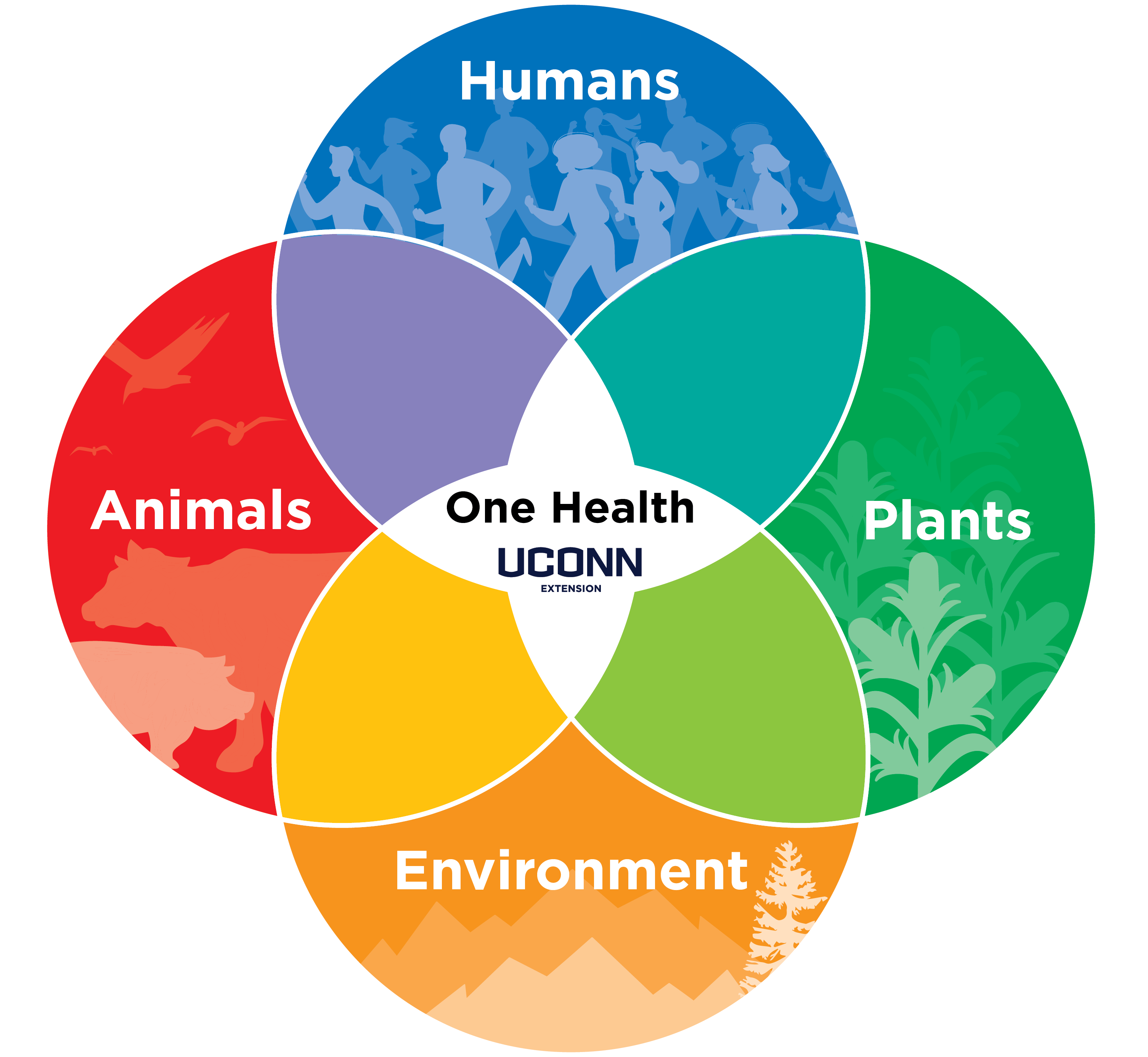 On Health includes animals (veterinary science, wildlife, fisheries), the environment (sanitation, air and water quality, ecology, botany, sustainable energy), and humans (human medicine, education, humanities, social sciences).